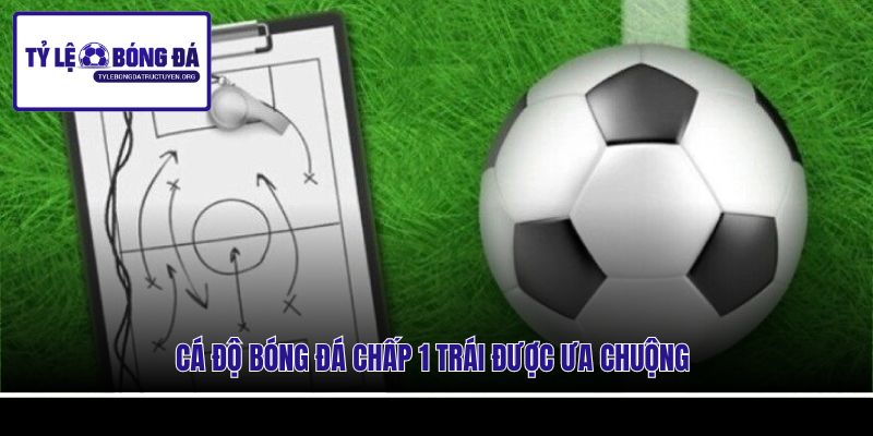 Cá độ bóng đá chấp 1 trái được ưa chuộng