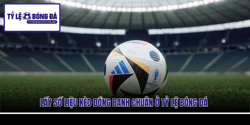 Lấy số liệu kèo đồng banh chuân ở Tỷ Lệ Bóng Đá